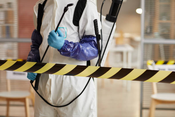 Professional Hoarding Cleanup technician working in Wells, MN